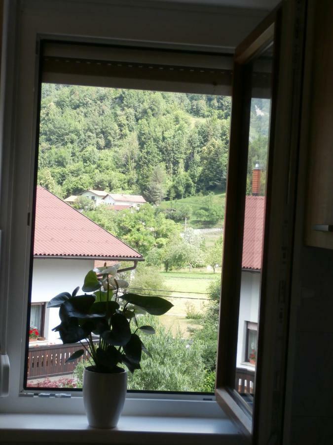Apartma Ana Dreznica Kobarid Eksteriør billede